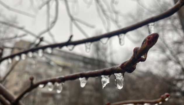 В Україні завтра до 8° тепла, подекуди невеликий дощ зі снігом