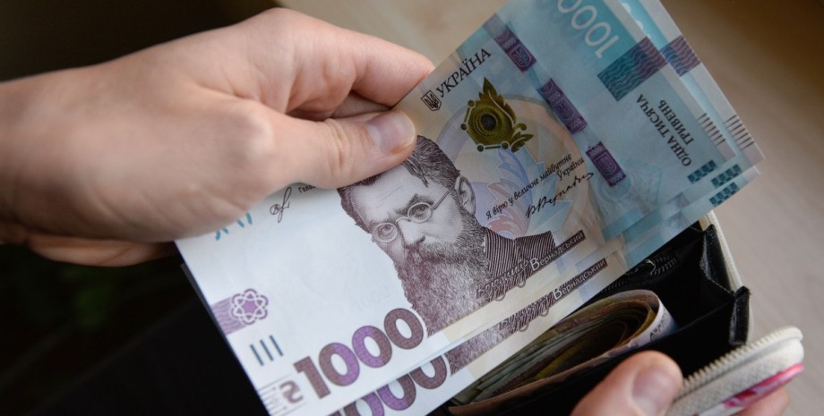 "Зимова єПідтримка" завершується: як українці витратили тисячу Зеленського