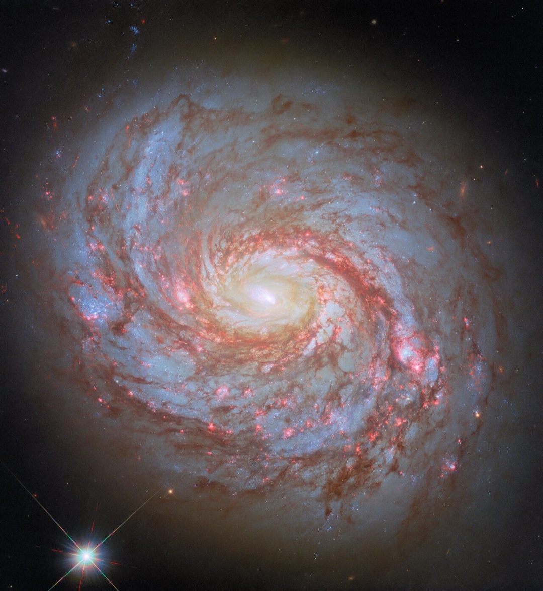 Hubble зафіксував зображення спіральної галактики у сузір’ї Кита