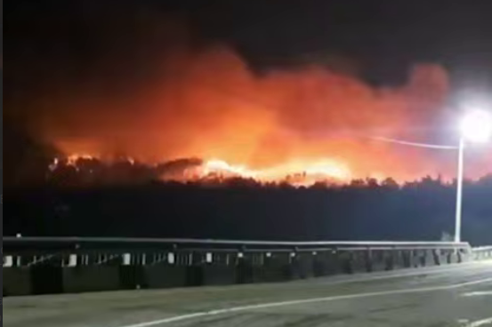 У Росії палають ліси: у Бурятії оголосили режим надзвичайної ситуації