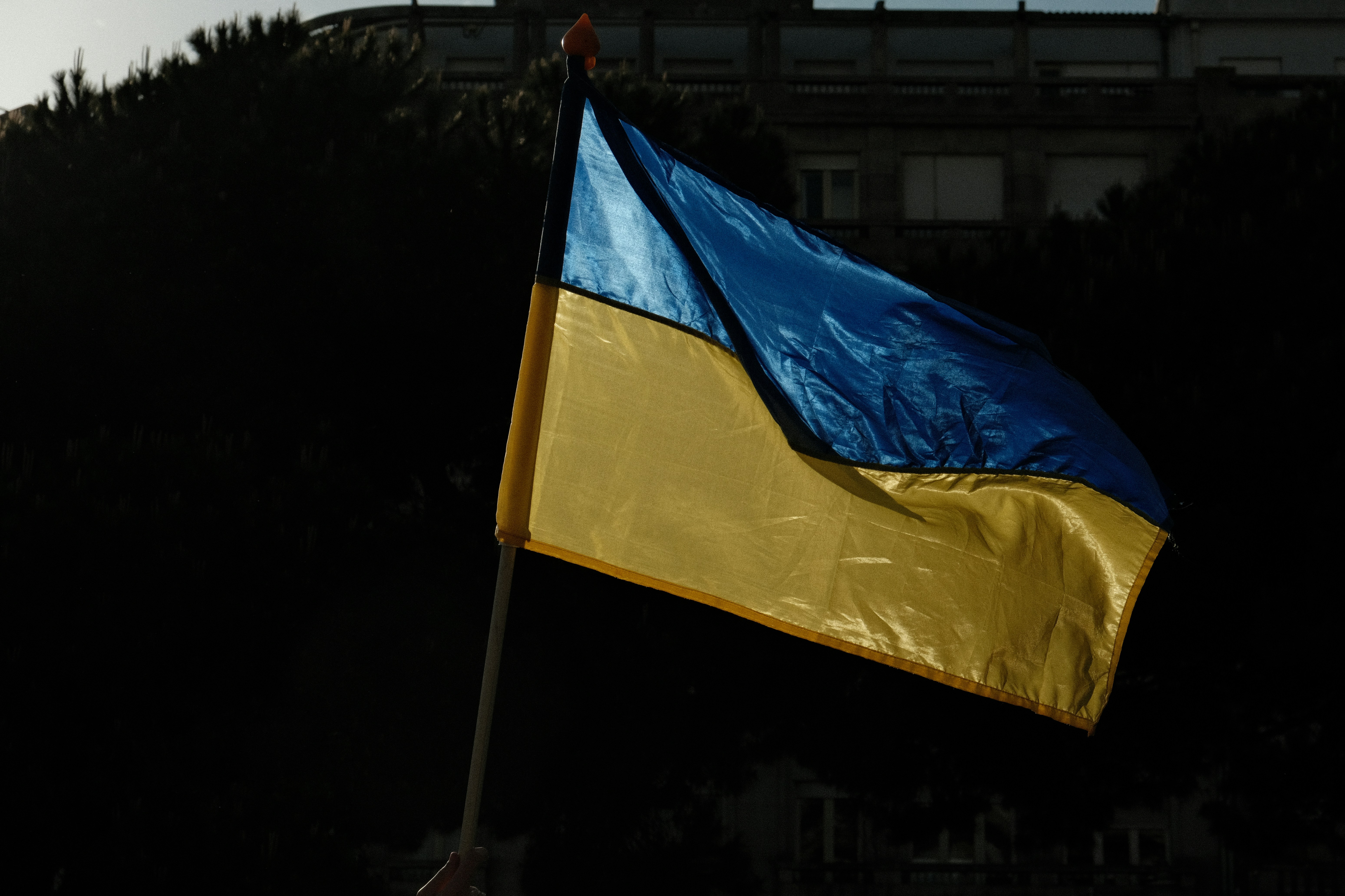 У Верховній Раді обговорюють можливість дозволити виїзд за кордон чоловікам до 23–24 років — Веніславський