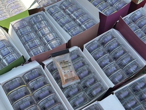 Правоохоронці викрили канал контрабанди психотропів із Німеччини до України