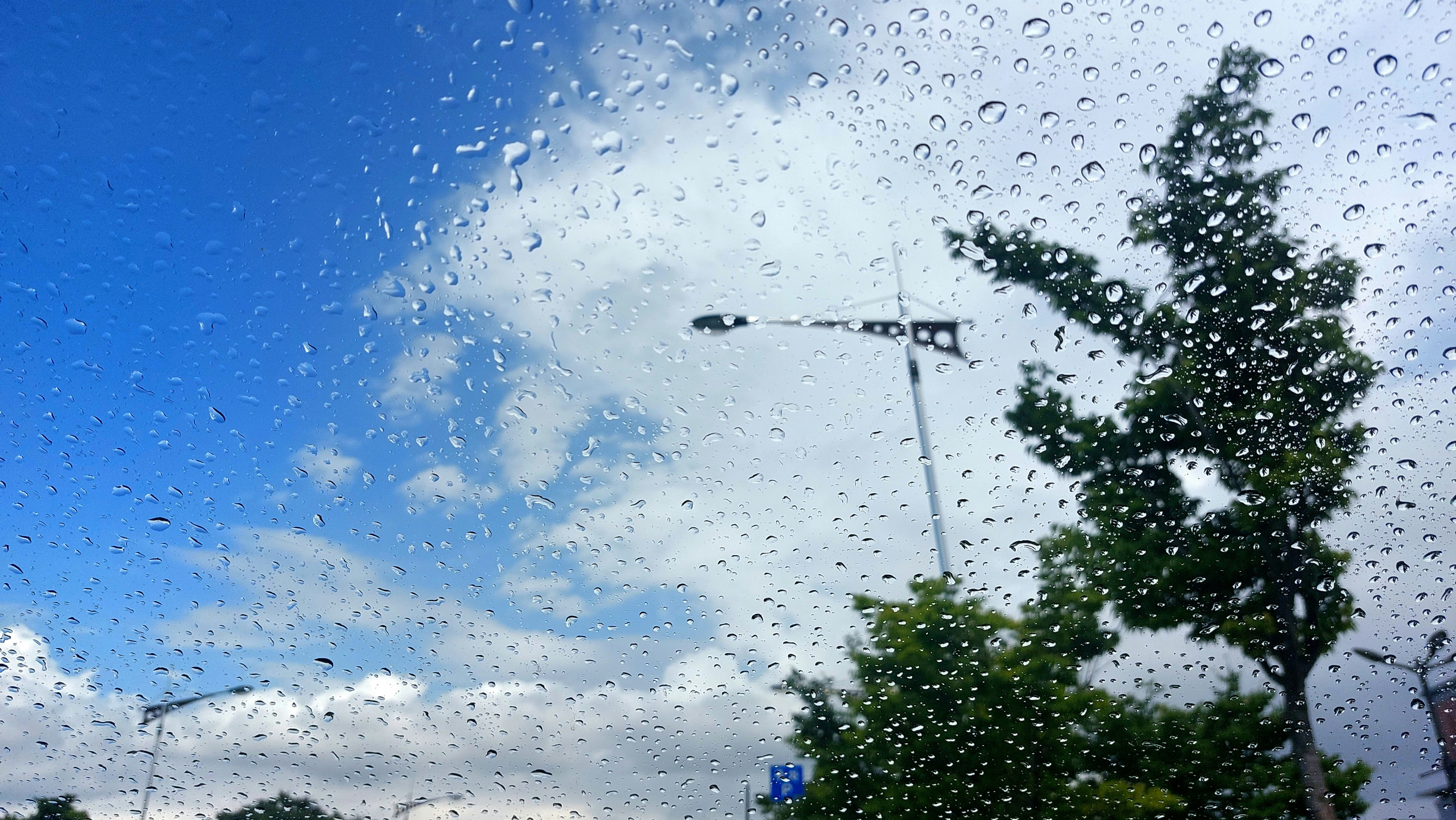 Прогноз погоди на 15 червня: дощі, грози та до +27° вдень