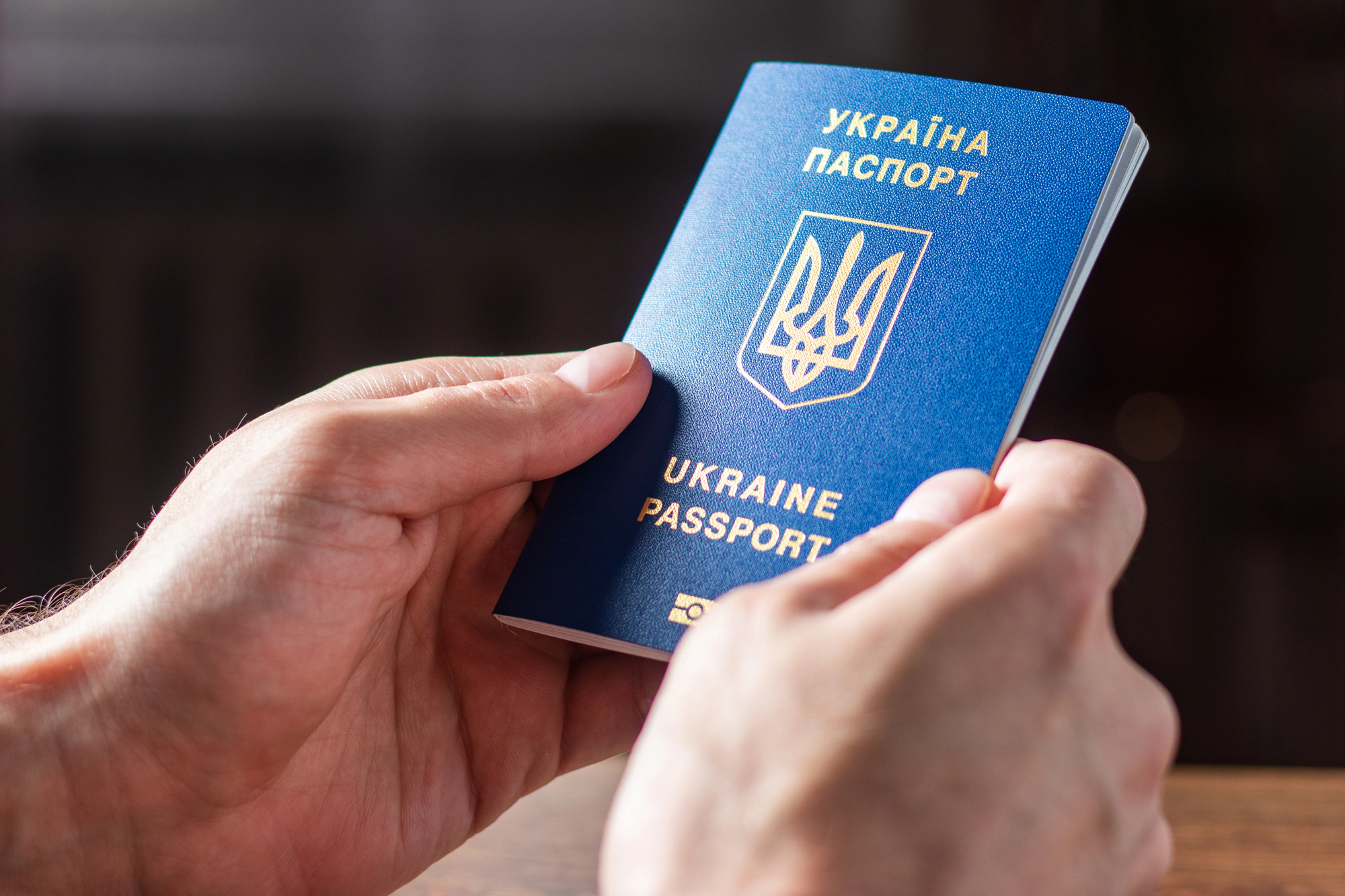 У партії Шольца запропонували позбавити українських чоловіків призовного віку соцдопомоги в Німеччині