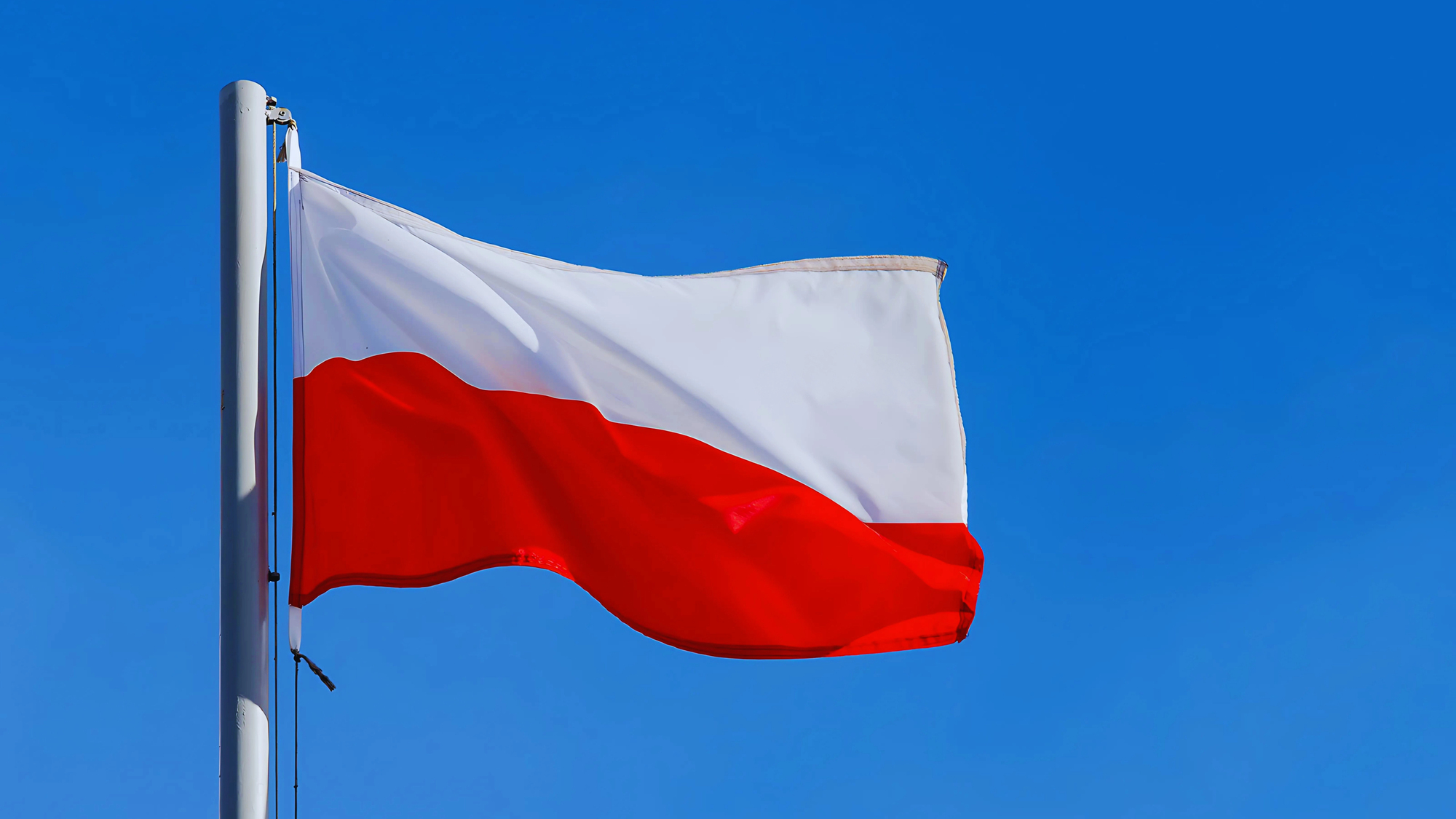 У Польщі фермера оштрафували на €25 тисяч через запах зі свинарника