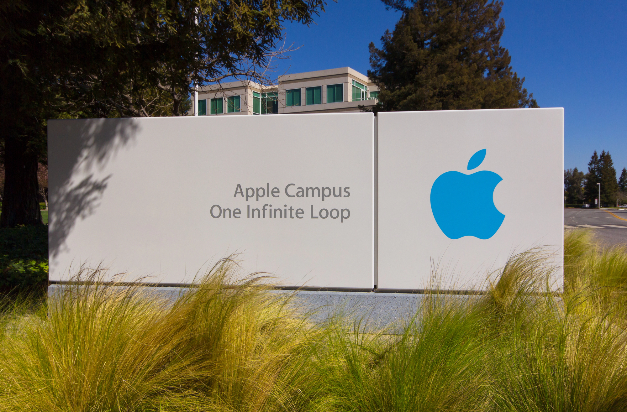 Apple подала в суд на мережу кінотеатрів Apple Cinemas через використання назви бренду