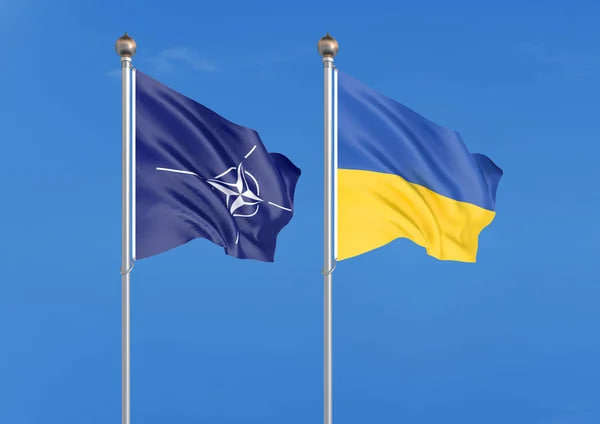 Віра українців у швидкий вступ до ЄС і НАТО знижується — опитування Gallup
