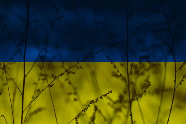 Росія обстріляла навчальний підрозділ ЗСУ: є загиблий і поранені
