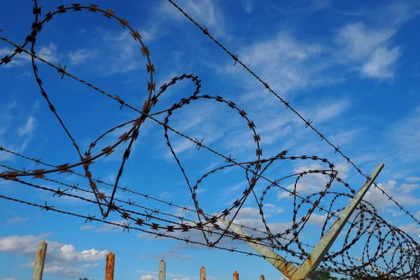 Росія різко збільшила кількість страт українських військовополонених — ISW