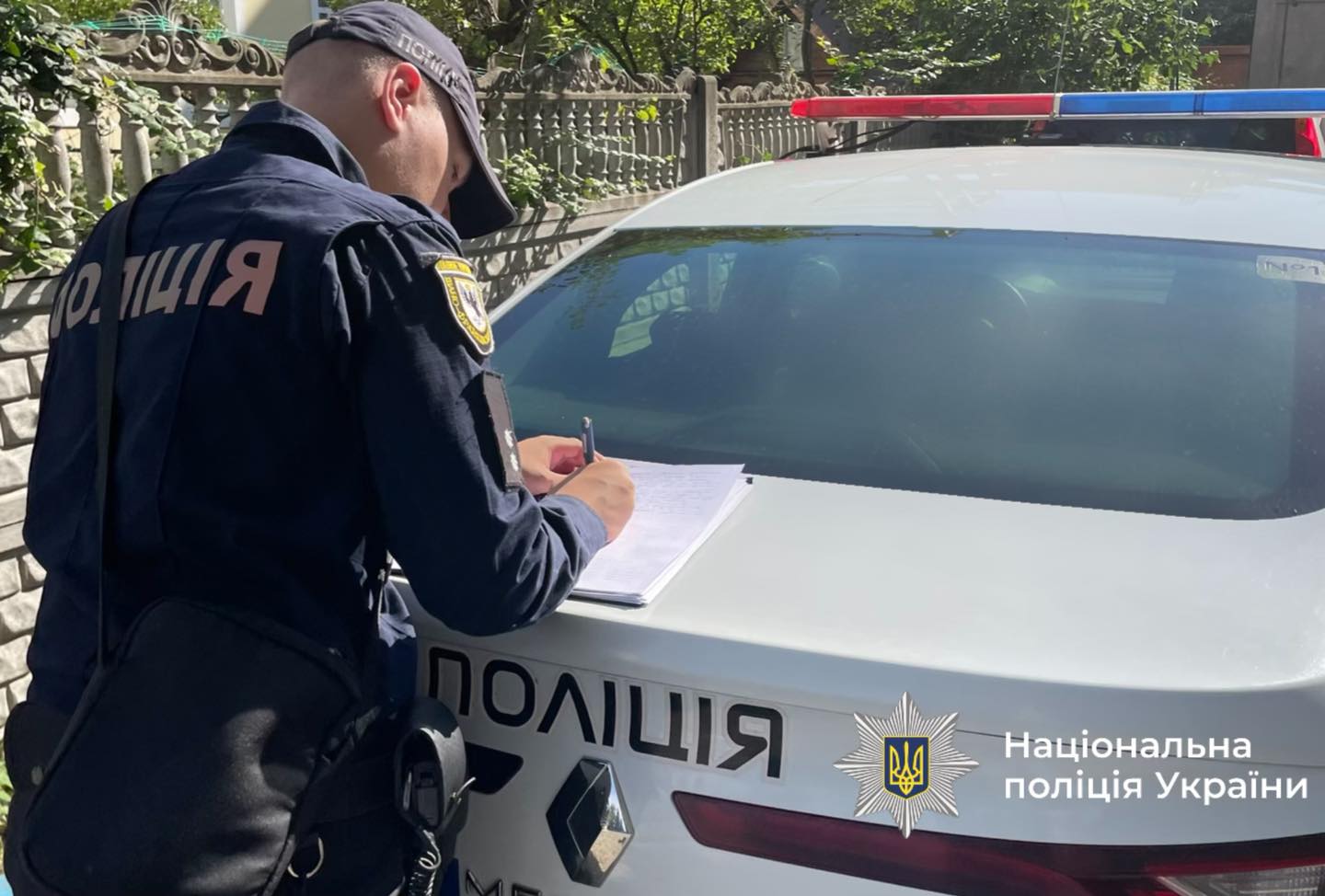 На Прикарпатті водій збив отару овець і втік: поліція розслідує обставини