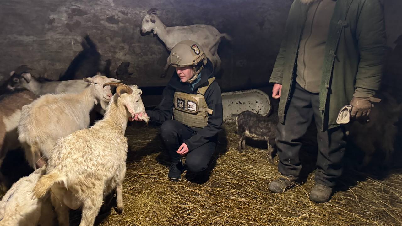 «Домівка врятованих тварин»: місце, де змінюють долі