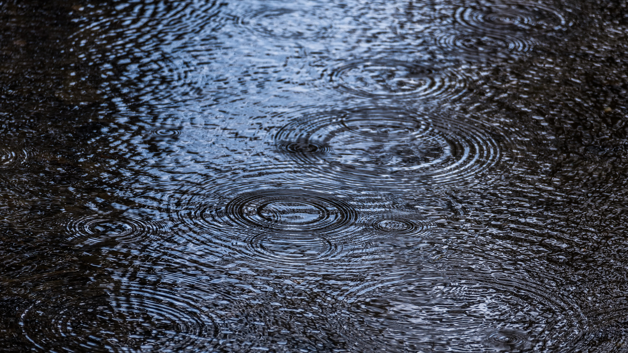 Погода в Україні на 29 жовтня: дощі та сильні пориви вітру