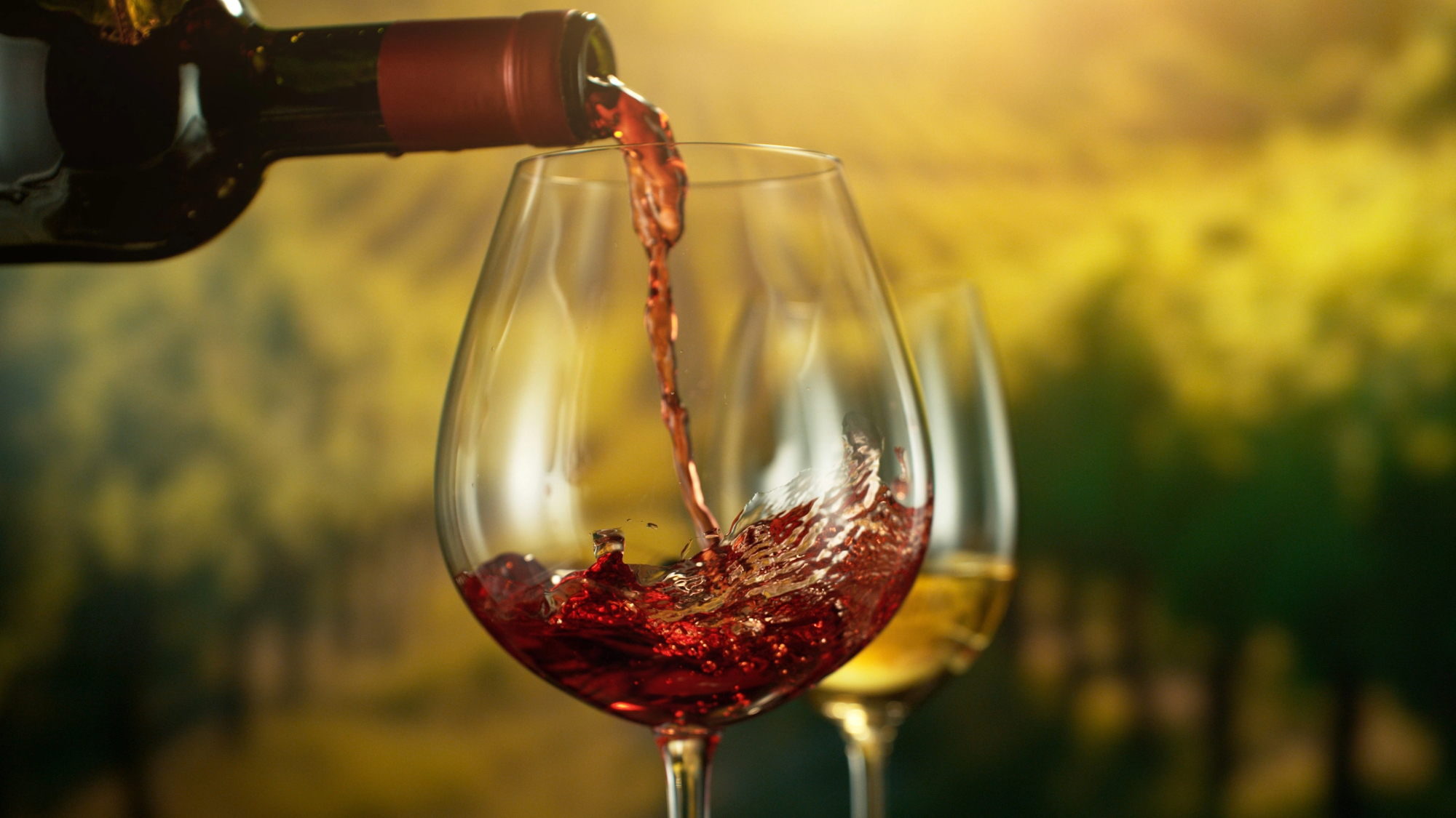 Чи справді вино корисне для серця: що показало нове міжнародне дослідження