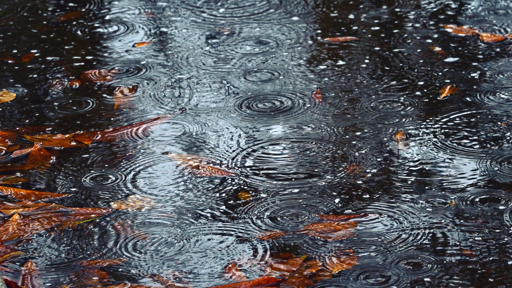 Прогноз погоди в Україні на 10 листопада: хмарно, дощі