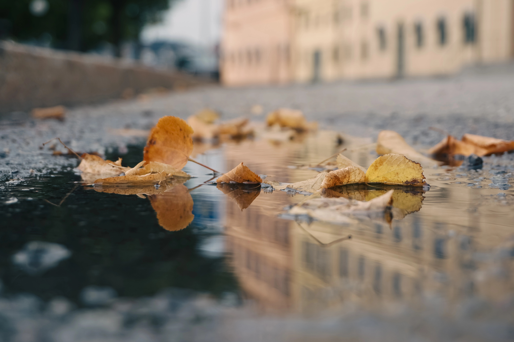 Прогноз погоди на 11 листопада: чекає похолодання і дощі