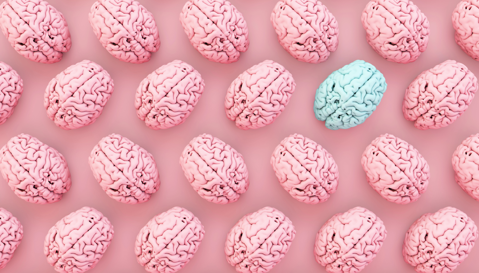 Як знання мов впливає на біологічний вік – дослідження