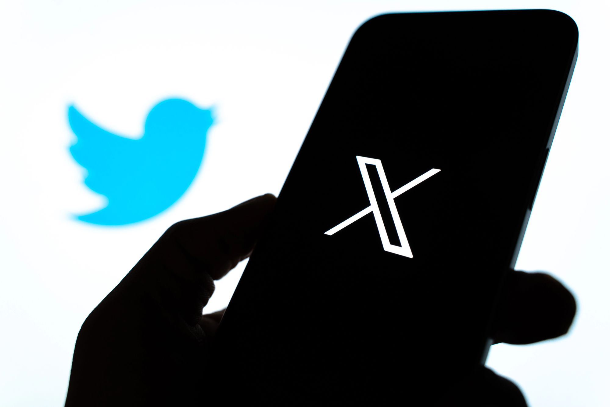 Ірландія почала розслідування проти соцмережі X через порушення закону ЄС