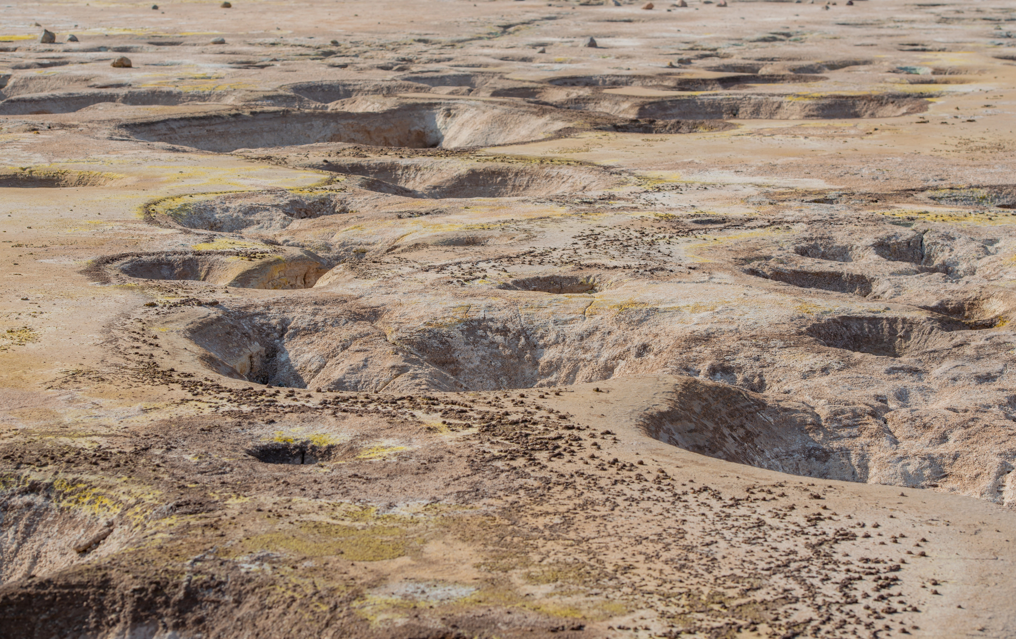 Таємниця "Поля ям" у Перу розгадана: 5200 отворів виявилися стародавньою системою обліку податків