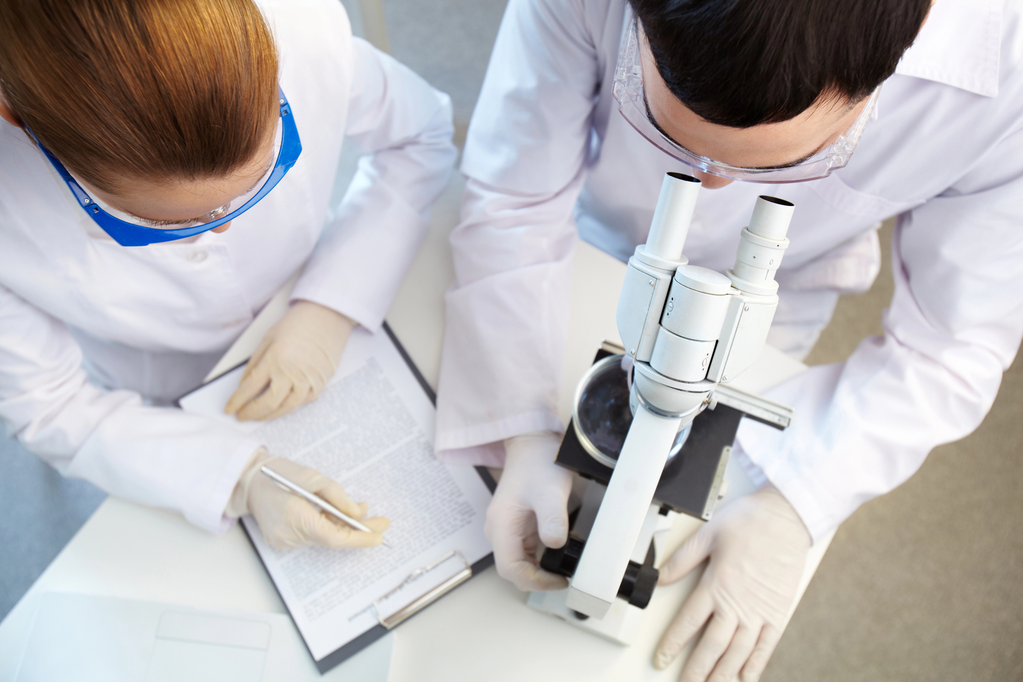 Вчені визначили, яка тварина з'явилася першою на Землі