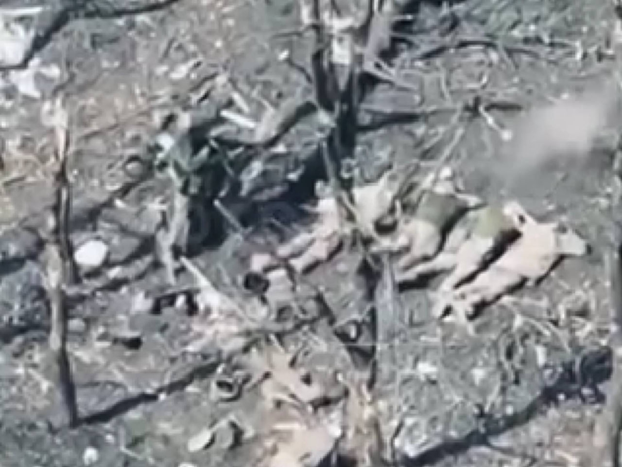 Черговий воєнний злочин: окупанти розстріляли 5 полонених бійців ЗСУ під Покровськом