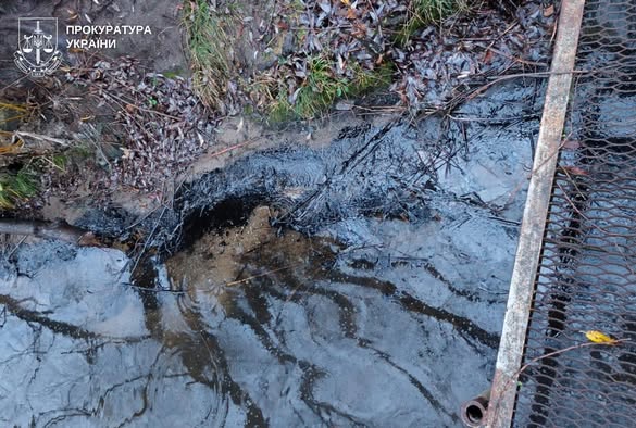 Мазут у Південному Бузі: прокуратура проводить обшуки на Ладижинській ТЕС через забруднення річки