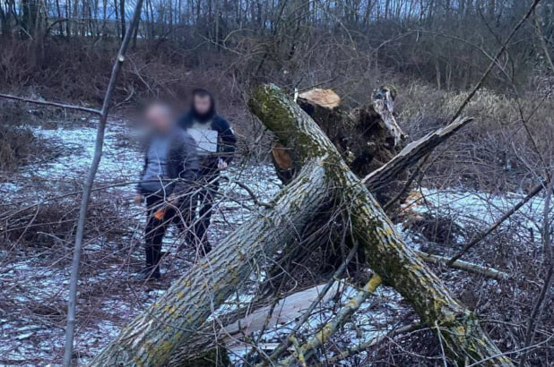 На Закарпатті загинула неповнолітня дівчина