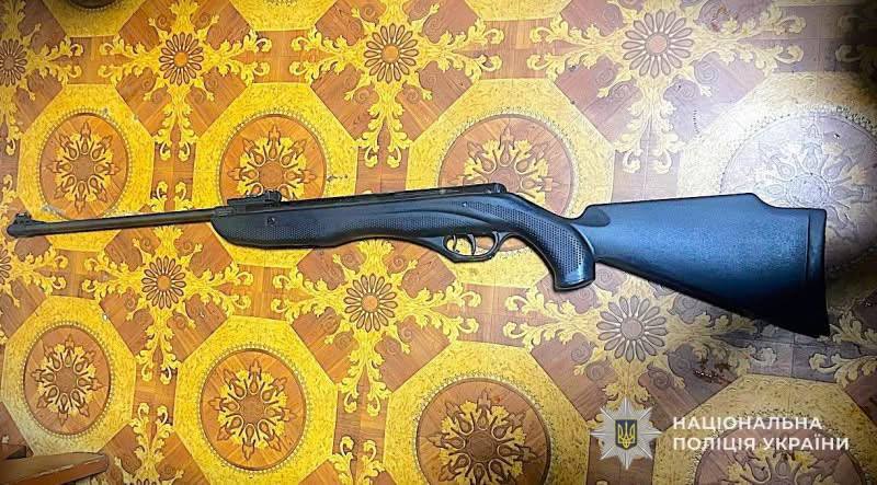 На Львівщині жінку підозрюють у вбивстві собаки з пневматичної гвинтівки