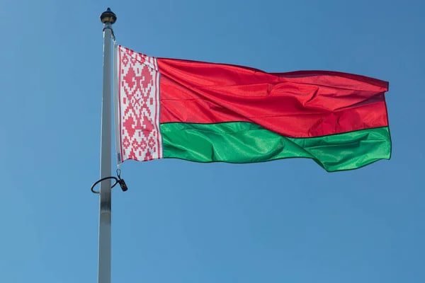У Саксонії затримали депутата AfD у справі про обхід санкцій проти Білорусі