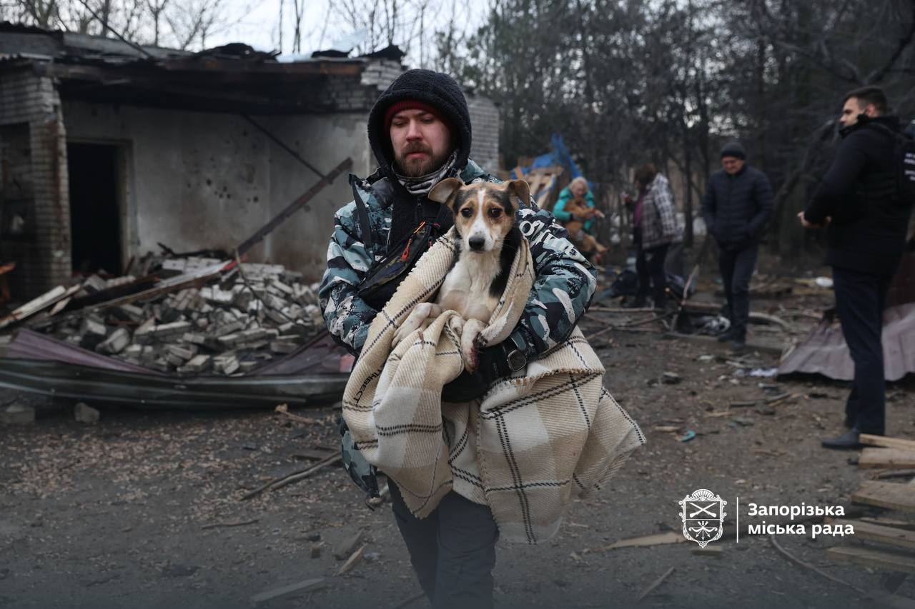 російський обстріл зруйнував собачий притулок у Запоріжжі