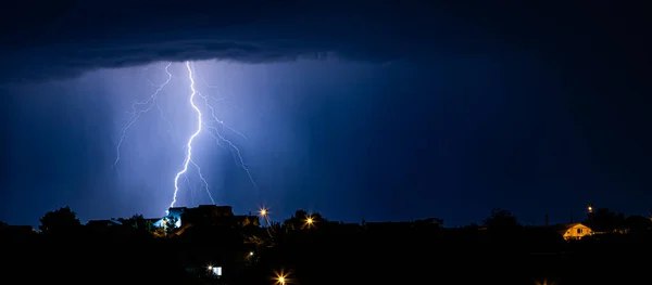 Під час грози дерева можуть «іскрити»: вчені вперше зафіксували явище