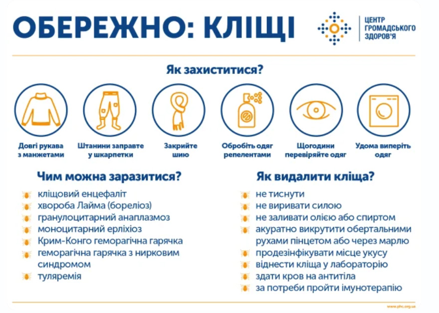 В Україні розпочався сезон кліщів: ризики зараження, як уникнути та перша допомога при укусі