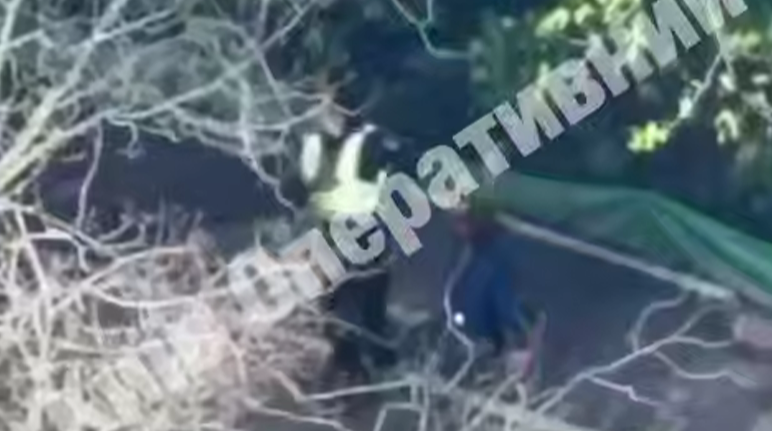 Після стрілянини в Києві перевіряють дії поліцейських: відкрито провадження