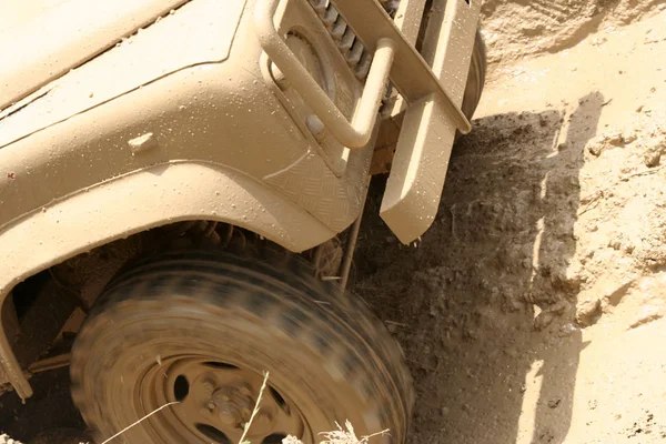 Дуа Ліпа долучилася до збору коштів для українських медиків: придбали пікап