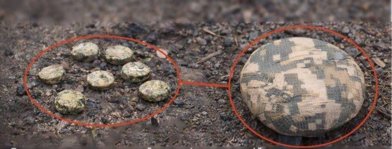 У Херсоні біля школи виявили протипіхотні міни
