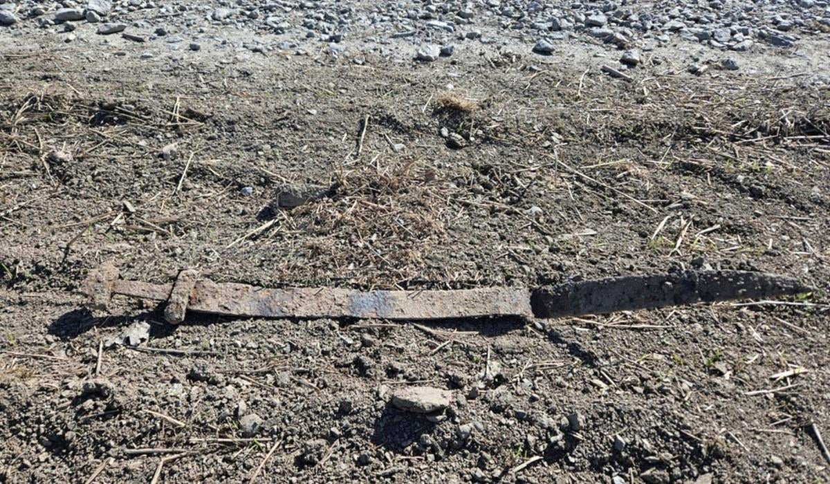 6-річний хлопчик знайшов 1300-річний меч під час шкільної екскурсії в Норвегії