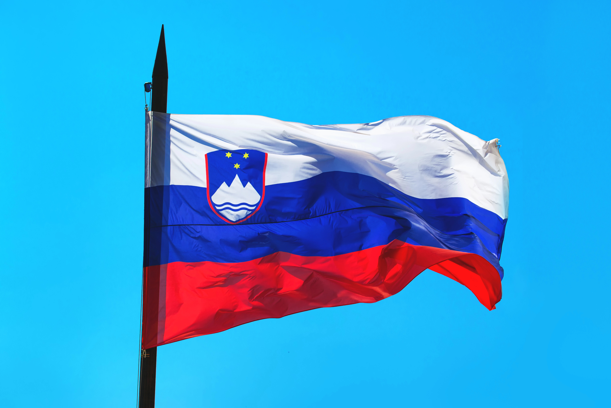 Парламент Словенії затвердив нового прем’єр-міністра