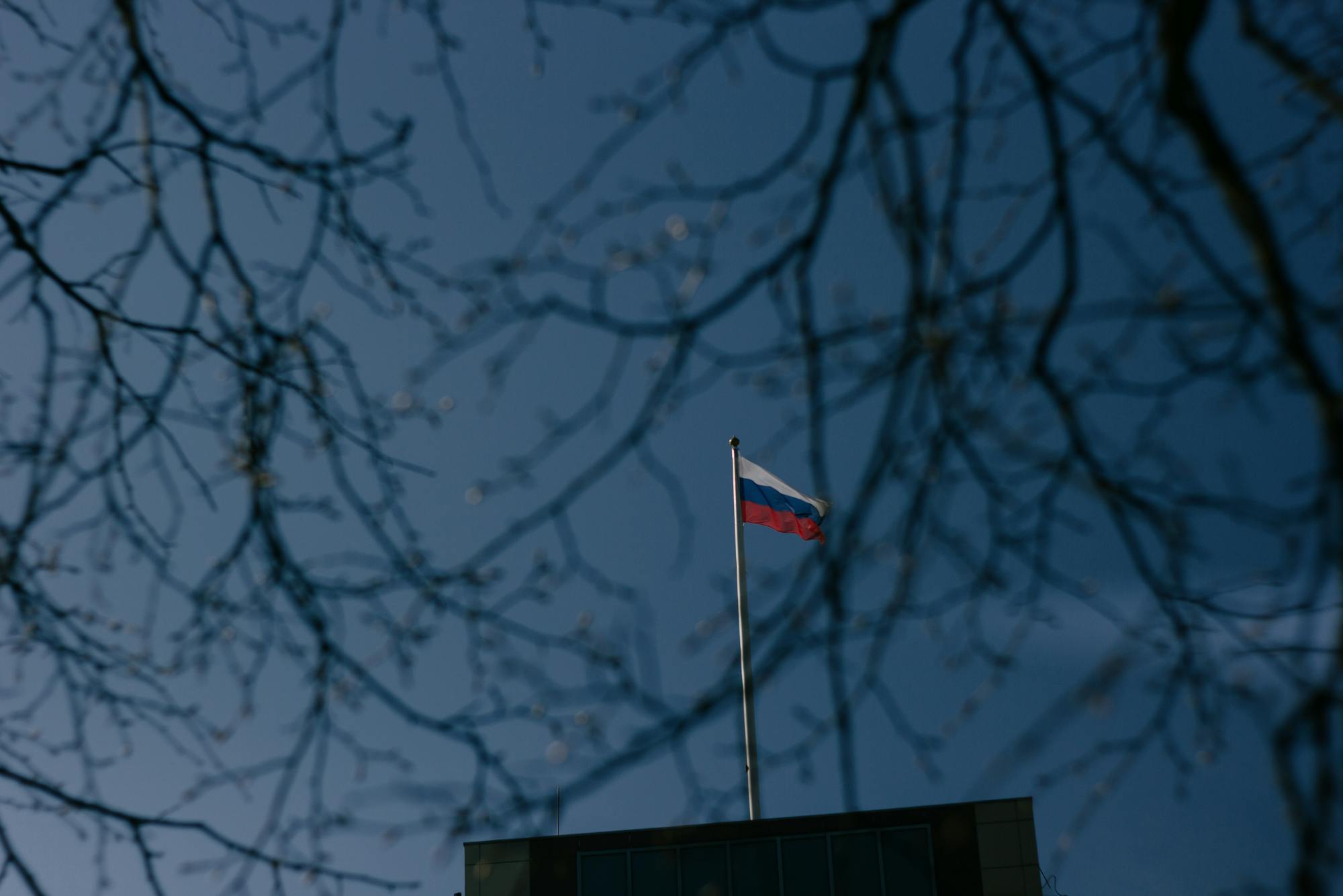 росіяни поскаржилися на втрати через «дружній вогонь» на фронті