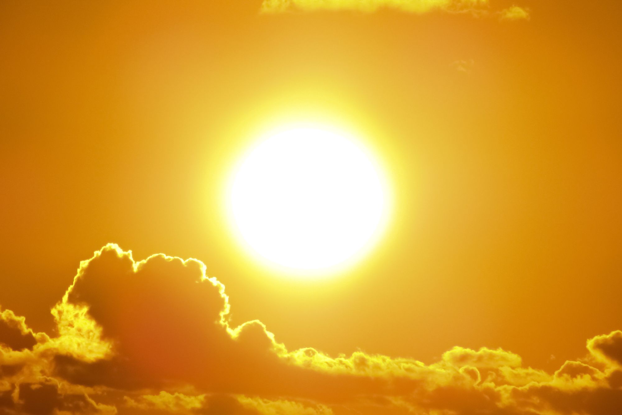 Сильна спека до +38°: коли та де в Україні різко підвищиться температура