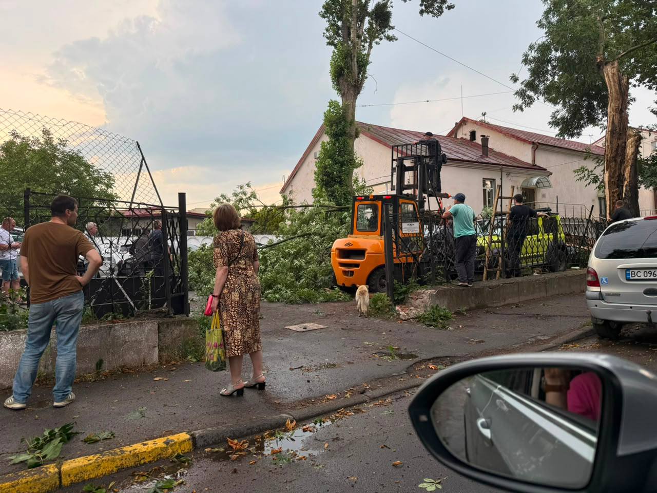 У Львові блискавка влучила у 6-річну дитину: дівчинка в реанімації, стан стабільний