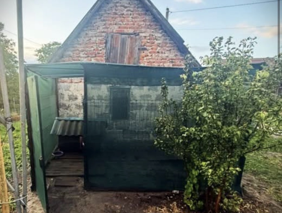 У Львові чоловік поранив собаку ножем і встромив у нього вила