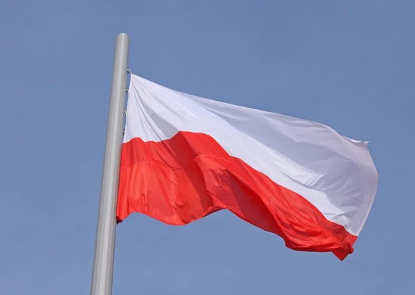 Опитування: понад третина поляків заявили про погіршення ставлення до українців