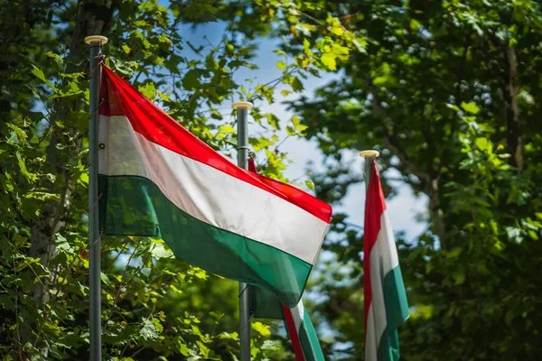 В Угорщині можуть повністю зупинити єдину АЕС через критичне обміління Дунаю
