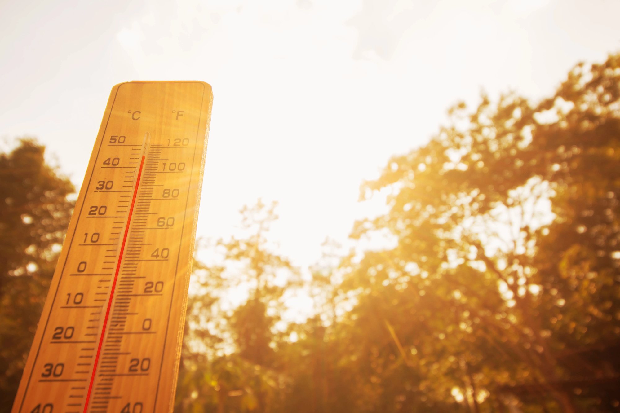 Синоптики попередили про спеку до +38° в Україні