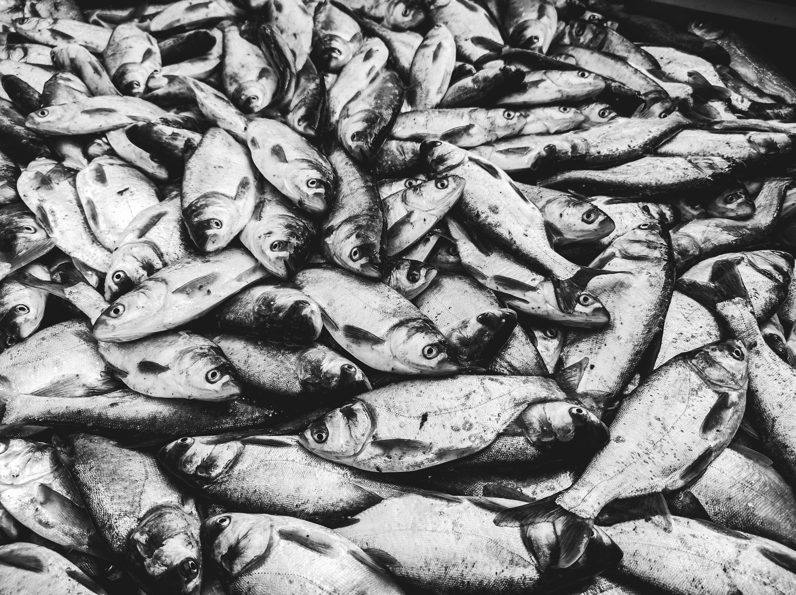 Кардіологи назвали продукт, який особливо корисний для серця