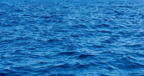 Європейські моря аномально нагрілися: вчені попереджають про загрозу екосистемам