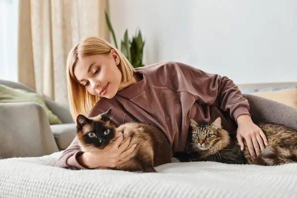 Коти розрізняють одне одного за жирними кислотами із сечі — вчені з’ясували механізм