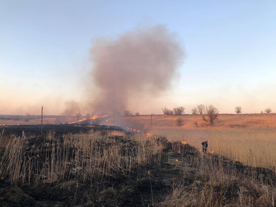 121 пожежа за добу: на Львівщині люди продовжують палити суху траву