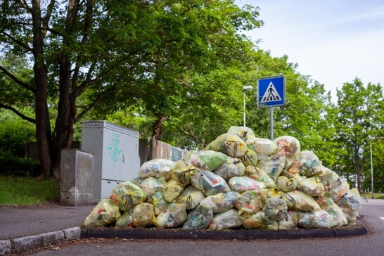У Львові створять новий орган, який слідкуватиме за "сміттєвими махінаціями" у місті (відео)