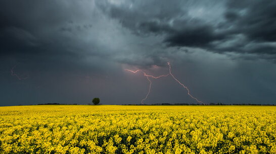 В Україні оголосили штормове попередження: західні регіони накриють дощі та град