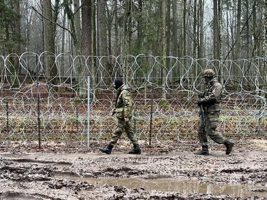 За добу польські прикордонники зафіксували понад 200 спроб незаконного перетину кордону
